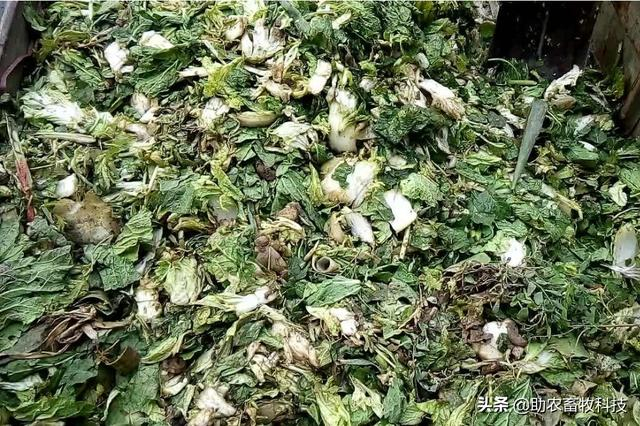 果蔬廢棄物垃圾怎樣進(jìn)行科學(xué)資源化無害化減量化處理？